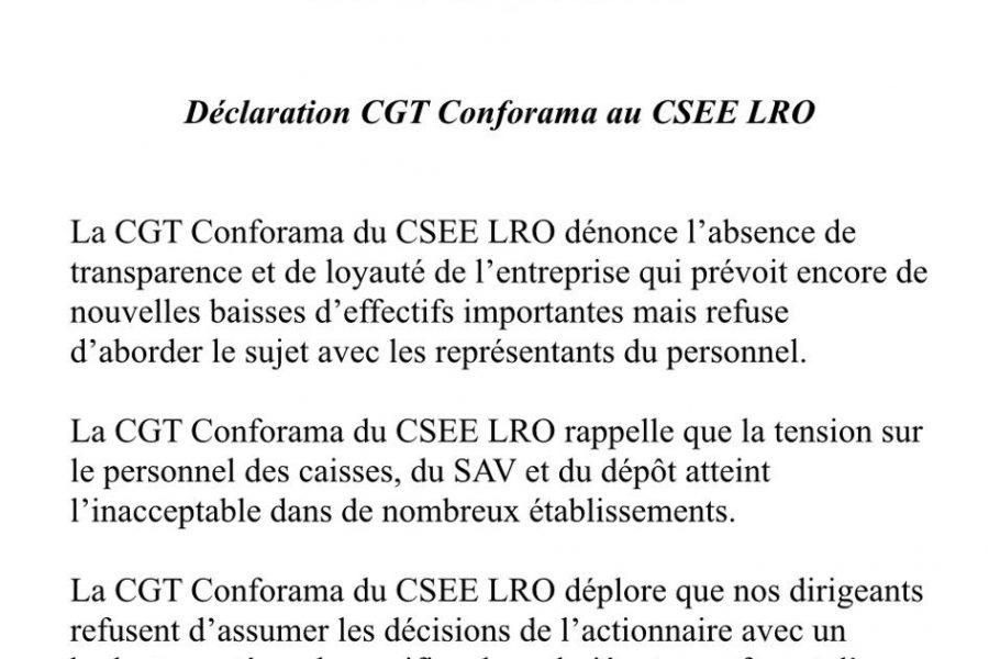 Déclaration effectifs CSE LRO 10/22