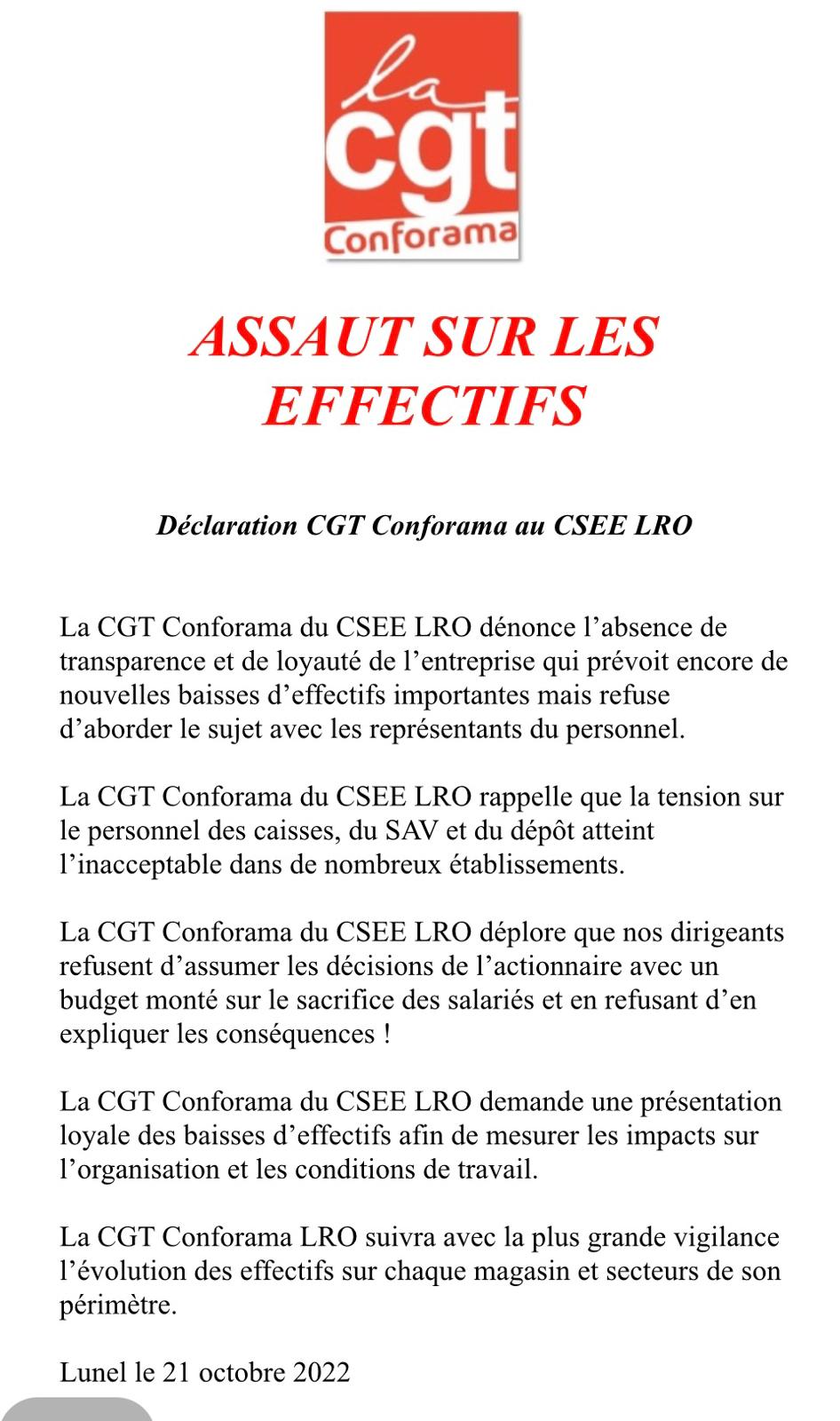Déclaration effectifs CSE LRO 10/22